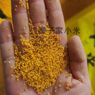 2斤装不抛光2025年粗磨新米赤峰农家黄小米新小米月子米只去壳