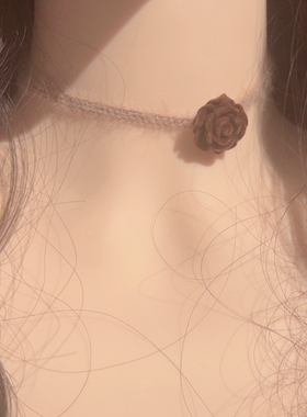 秋冬新款气质百搭咖色花朵锁骨链choker小众设计少女个性项圈颈带