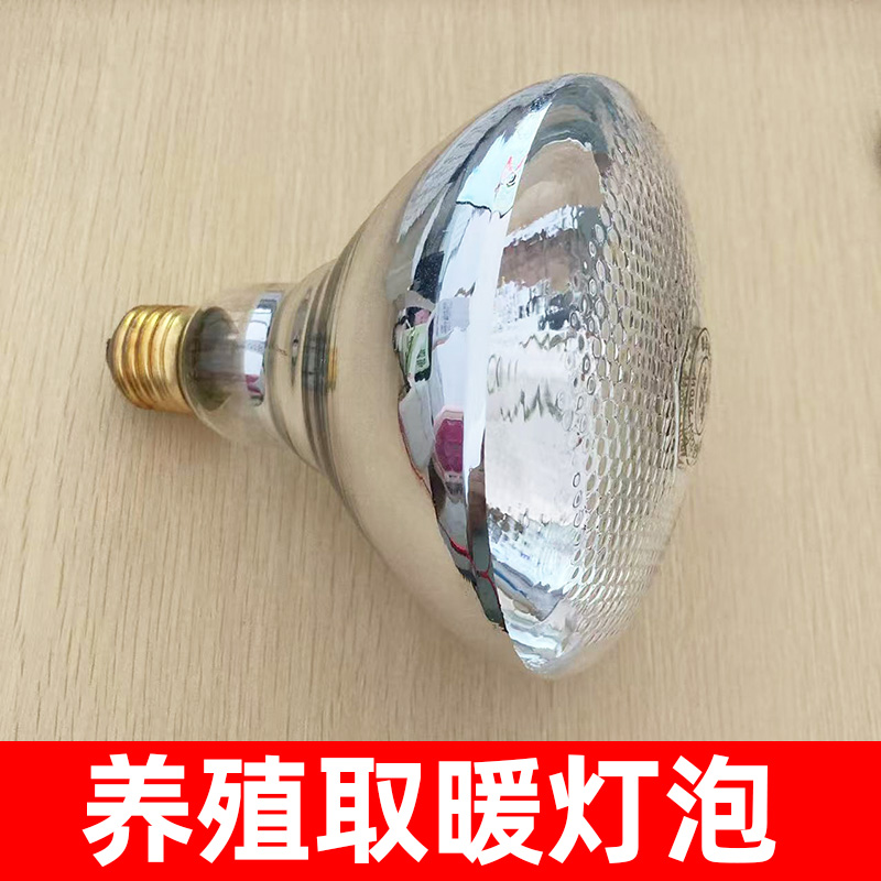 铜头麻面加厚保温取暖灯泡养殖
