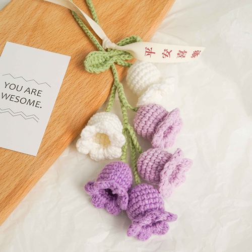 菲菲姐家送男友车挂件礼物