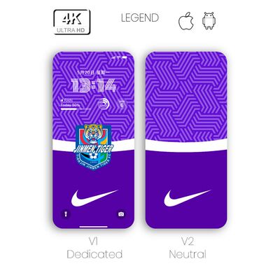 手机壁纸素材图片手机壁纸素材图片中超联赛津门虎壁纸068
