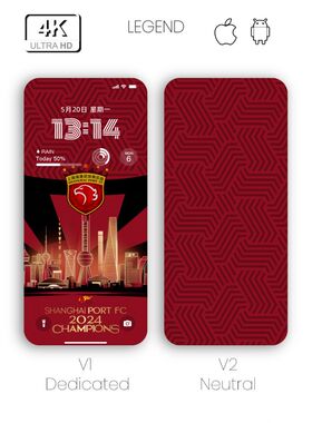 手机壁纸素材图片手机壁纸足球壁纸|上海上港是冠军105