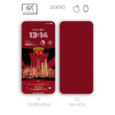 手机壁纸素材图片手机壁纸足球壁纸|上海上港是冠军105