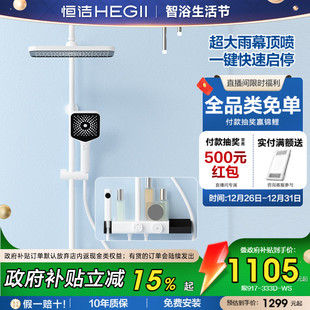 恒洁卫浴淋浴器花洒套装 大置物平台沐浴枪灰色Y30 家用浴室明装