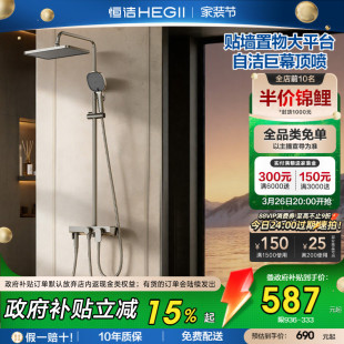 恒洁除垢自洁置物淋浴花洒套装 沐浴枪灰936 家用淋浴器卫生间明装