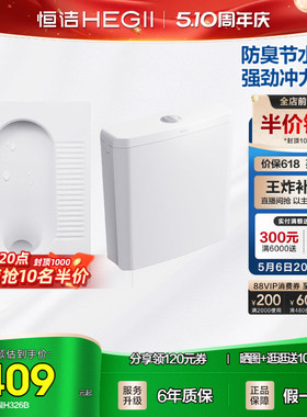 HEGII/恒洁蹲便器卫生间防臭陶瓷蹲厕便池水箱临时马桶家用蹲坑