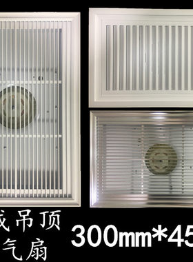 300*450集成吊顶大功率换气扇