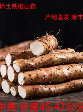 新鲜直达顺丰包邮温县铁棍山药