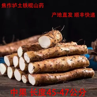 2025年中果新鲜开挖河南焦作温县正宗垆土铁棍淮山药王怀山药包邮