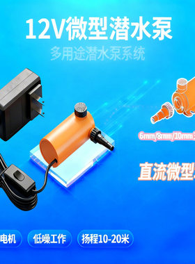 水钻机开槽机专用12伏微型潜水泵