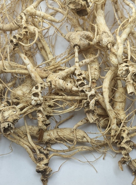 林下野山参干参20年残参撒籽无农药无化肥非 林下参残参林下籽