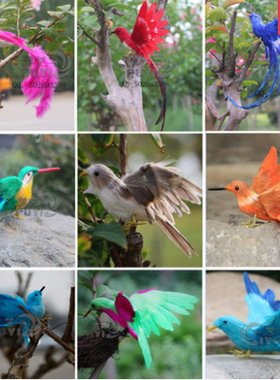 仿真展翅小鸟摆件真羽毛太阳鸟家居田园主题摄影道具装饰品模型