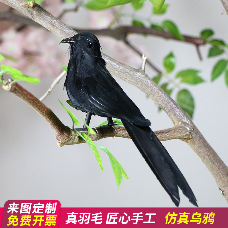 仿真小鸟乌鸦真羽毛摆件万圣节cosplay装饰道具手工工艺动物标本
