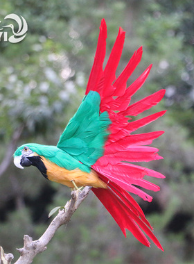 仿真鹦鹉摆件真羽毛摄影道具