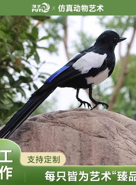 【仿真喜鹊】小鸟羽毛摆件花园布景装饰摄影道具庭院景观动物模型
