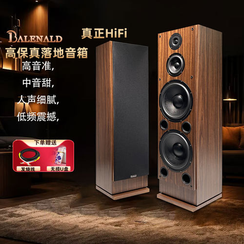 发烧级家用音响三分频双10寸
