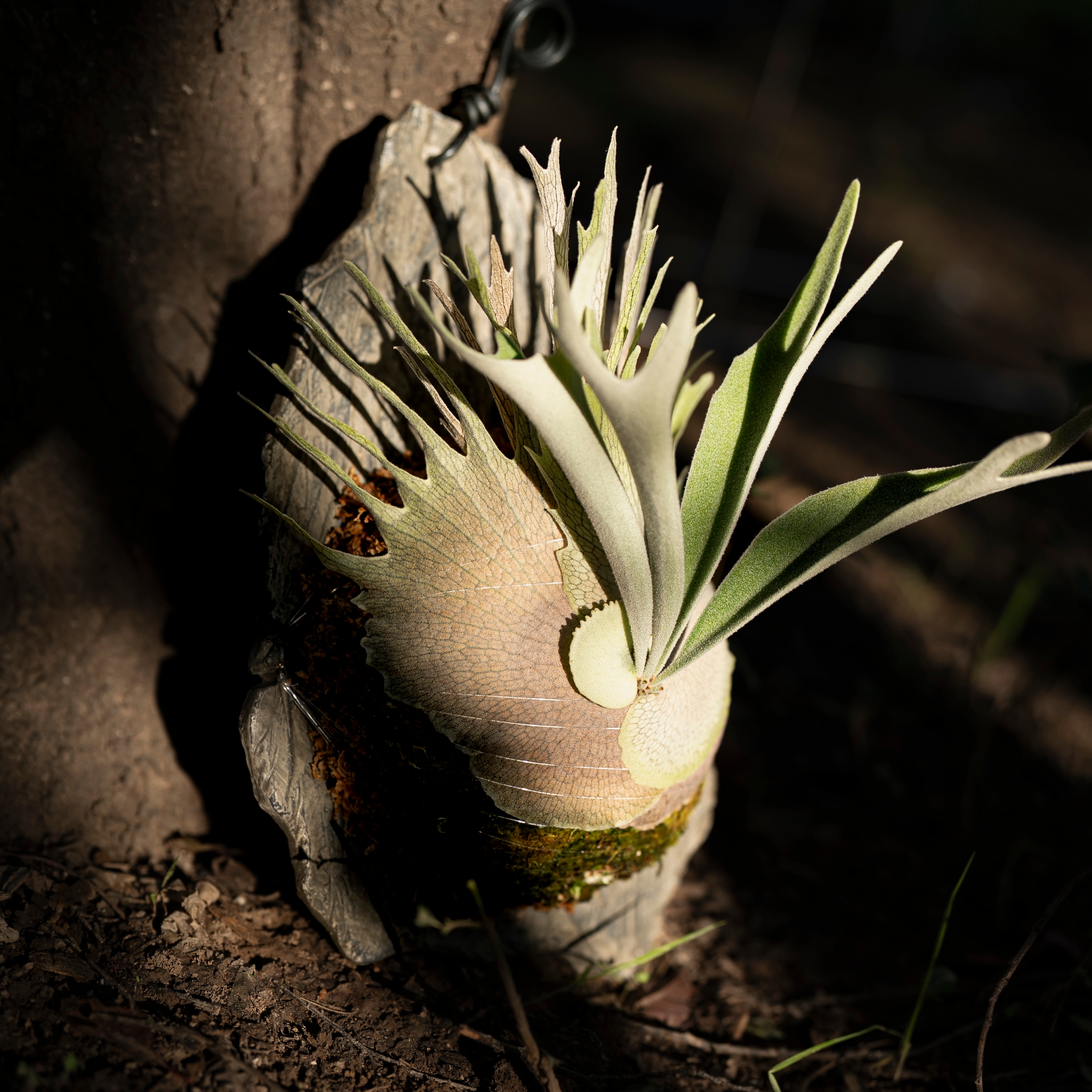 鹿丛【寻壑系列】石纹挂板