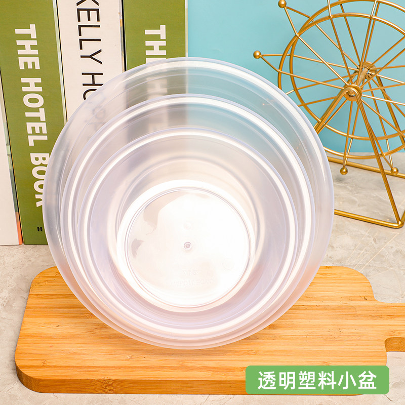 圆形透明塑料盆阳台花盆底座接水盆儿童洗脸盆草莓杨梅蓝莓水果盆