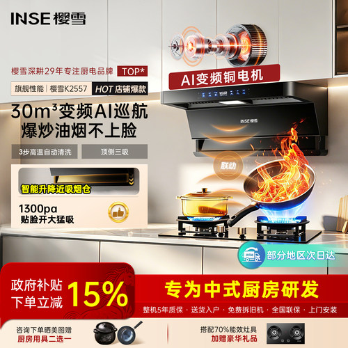 [近吸油烟不上脸]AI变频铜电机