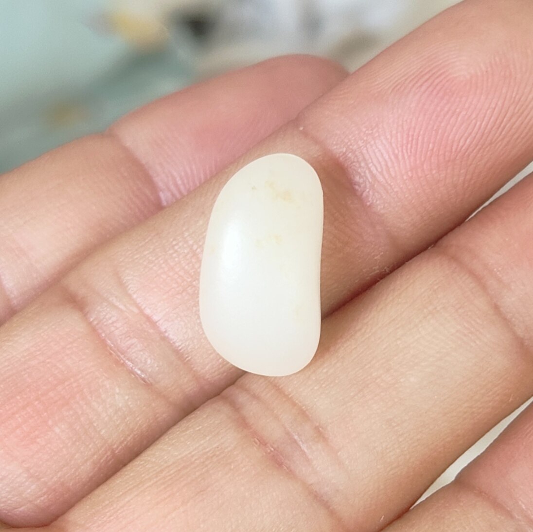 羊脂玉标尺籽手链项链饱满戒面包金耳坠正宗新疆狭义和田高品质玉