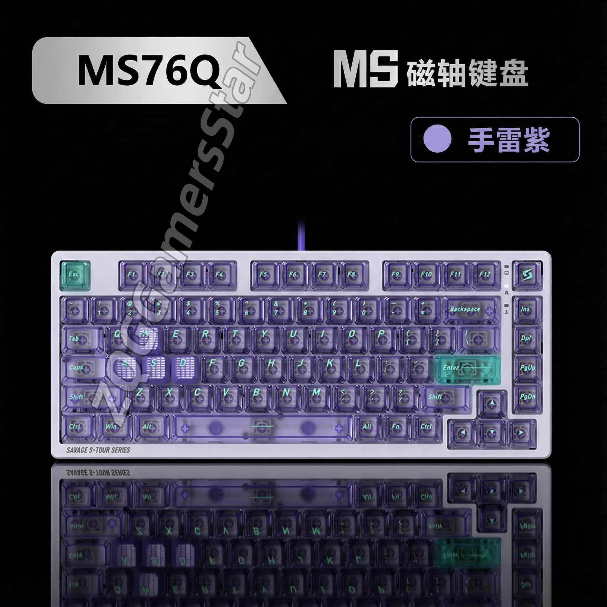 双飞燕血手幽灵MS76Q热插拔磁轴图片
