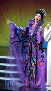 新款李玉刚演出服紫色蝴蝶反串舞蹈服装 高档贵妃古装