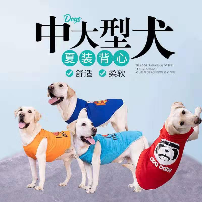 金毛狗狗衣服拉布拉多萨摩耶图片