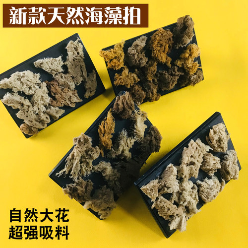 天然稀疏大花海藻绵拍工具刷印花三色珠光幻彩漆银箔点彩海棉拍子