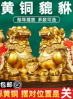 8貔貅摆件招财旺财聚财纯铜公母一对家用办公室居家客厅霸王豸皮