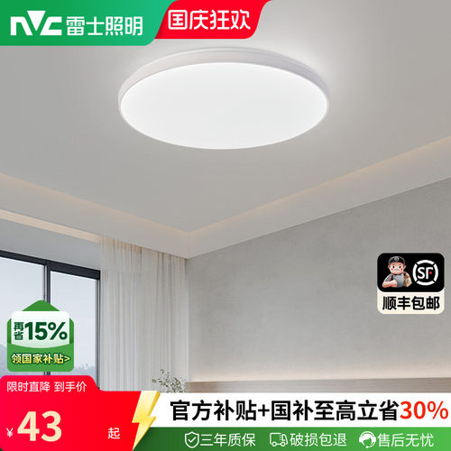 nVc/雷士简约现代入户过道灯