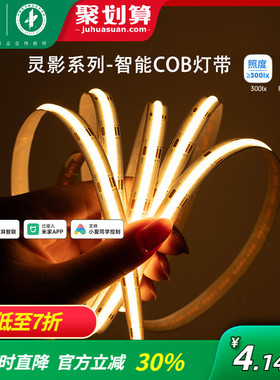 雷士照明已接入智能LED贴片灯带24V软灯条自沾客厅吊顶线条线形灯