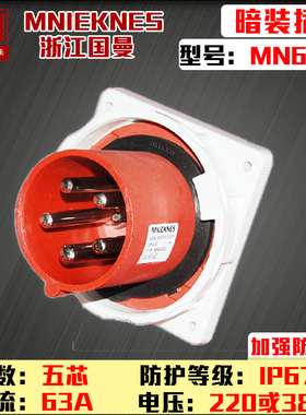 MN6552浙江国曼MNIEKNES三相五线5芯 IP67 63A反式暗装插头3P+N+E