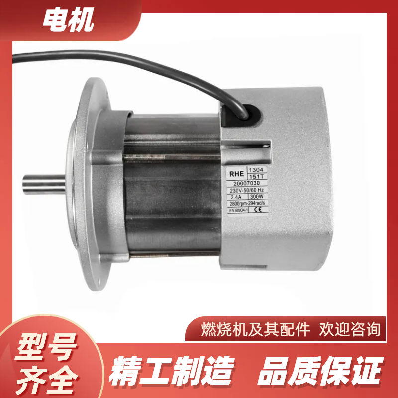 RIELLO利雅路燃烧器电机风机RS34