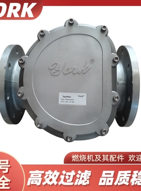 YORK约克FG4040 FG4050 4065 4080 40100 40125FT 燃气过滤器法兰