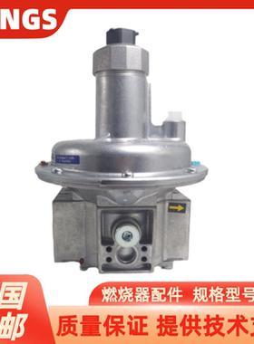德国冬斯DUNGS调压阀FRS503 FRS505 FRS507 FRS510 FRS515 FRS520