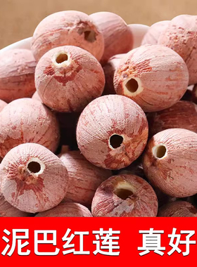 莲子干货洪湖青泥巴大精品红莲500g干莲子湖北洪湖特产2025年新莲