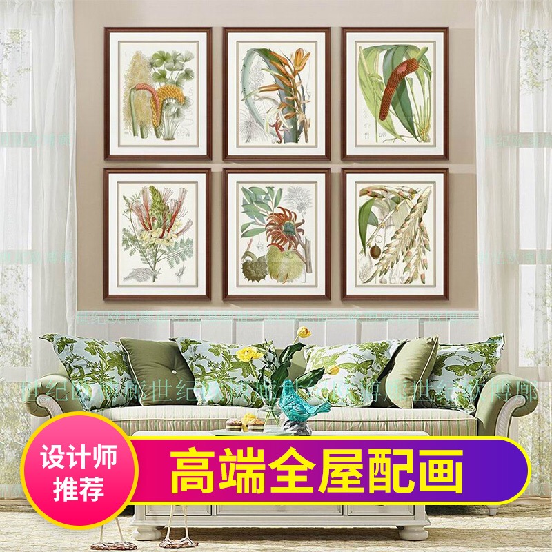 进口原版画芯高端美式花卉水果客厅餐厅卧室版画装饰画热带花卉图片