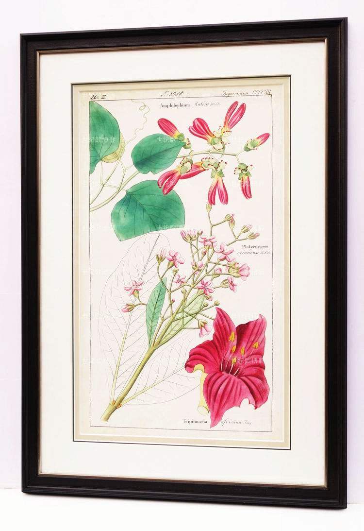 纯进口原版画芯简美美式花卉植物装饰画挂画乡野芬芳