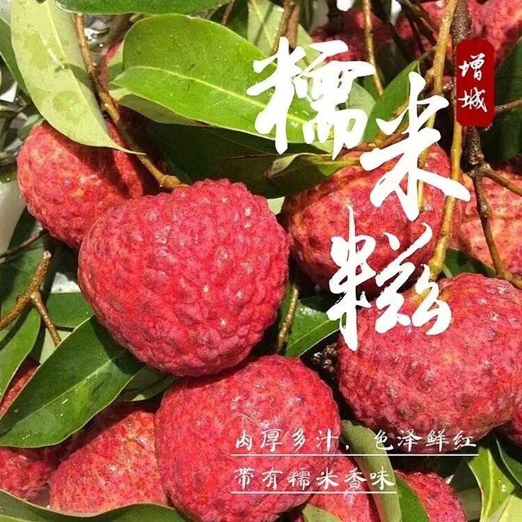 糯米糍荔枝甜如蜜新鲜本地直采