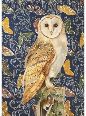 现货包邮 奥地利Piatnik进口成人益智动物拼图5592猫头鹰1000片