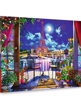 新品包邮波兰trefl欧洲进口成人益智拼图10843月下浪漫巴黎1000片