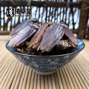 中药材 偷油婆 蟑螂 蜚蠊 500克 碎