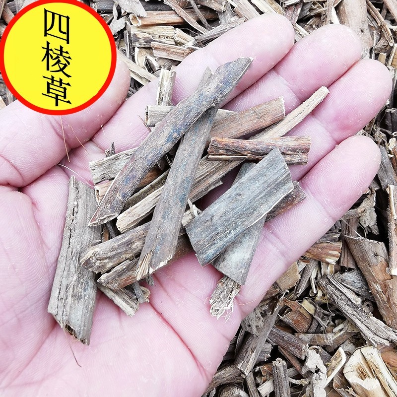 中药材  四棱草  500g克  筋骨连  箭羽草  四陵草  四愣草