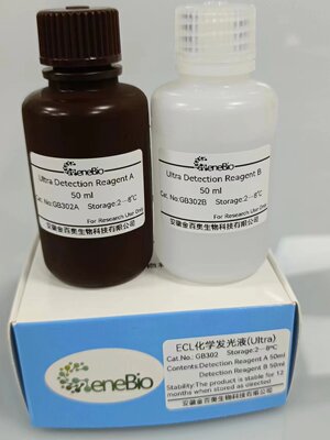 WB用-ECL化学发光液（特超敏）