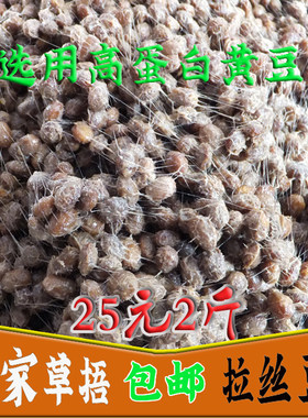 豆子临沂山东手工拉丝自制