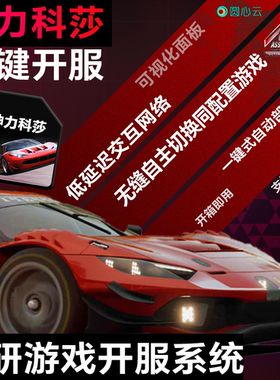 神力科莎服务器Assetto Corsa一键开服好友联机24小时在线畅玩
