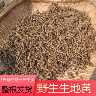 野生干地黄新鲜地黄根生地根自然晒干非种植2026年新货中药材250g