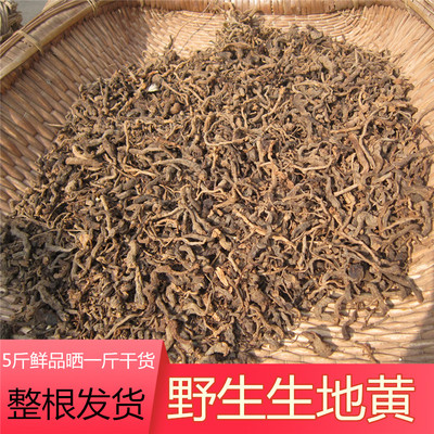 野生干地黄非种植生地根干250g