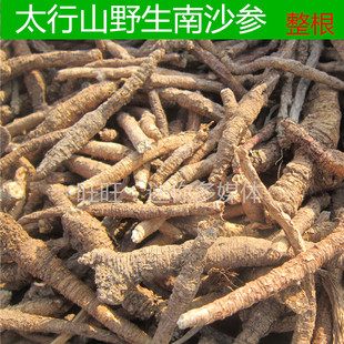 野生南沙参干货中药材新鲜整条根沙参太行山农家新货250g泡水煲汤
