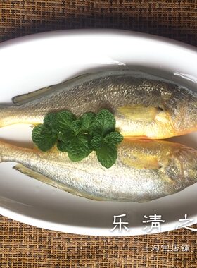 【新鲜-大黄鱼】温州红烧
